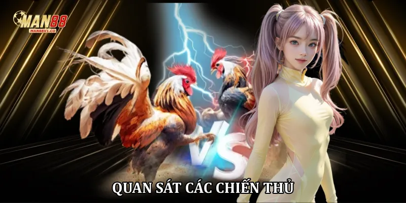 Quan sát các chiến thủ